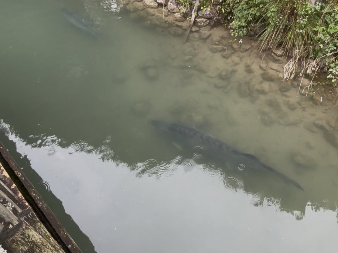 Gasthütte Fischkaser