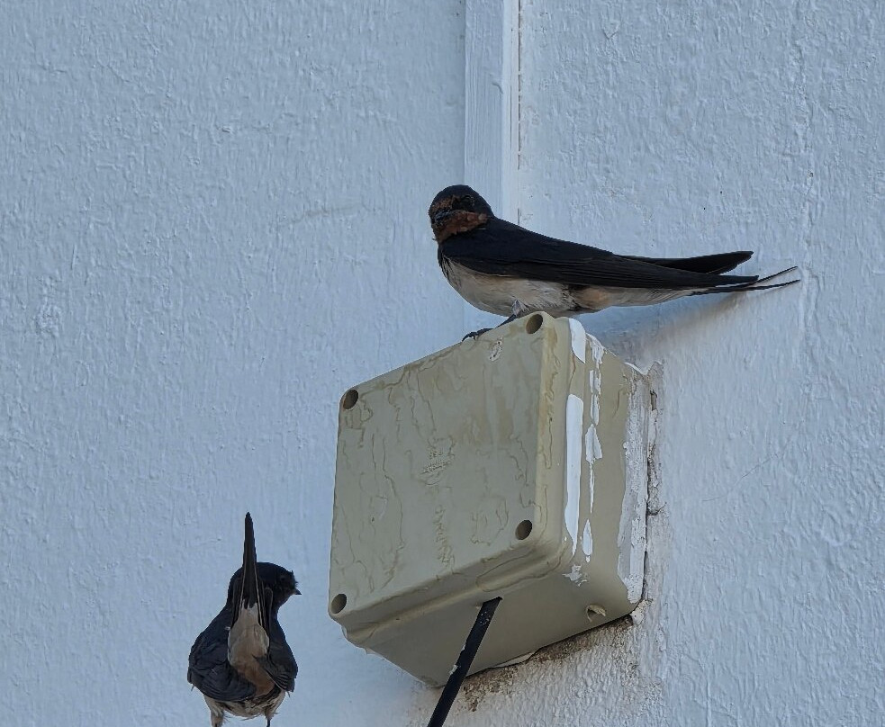 Hotel Francesco主图