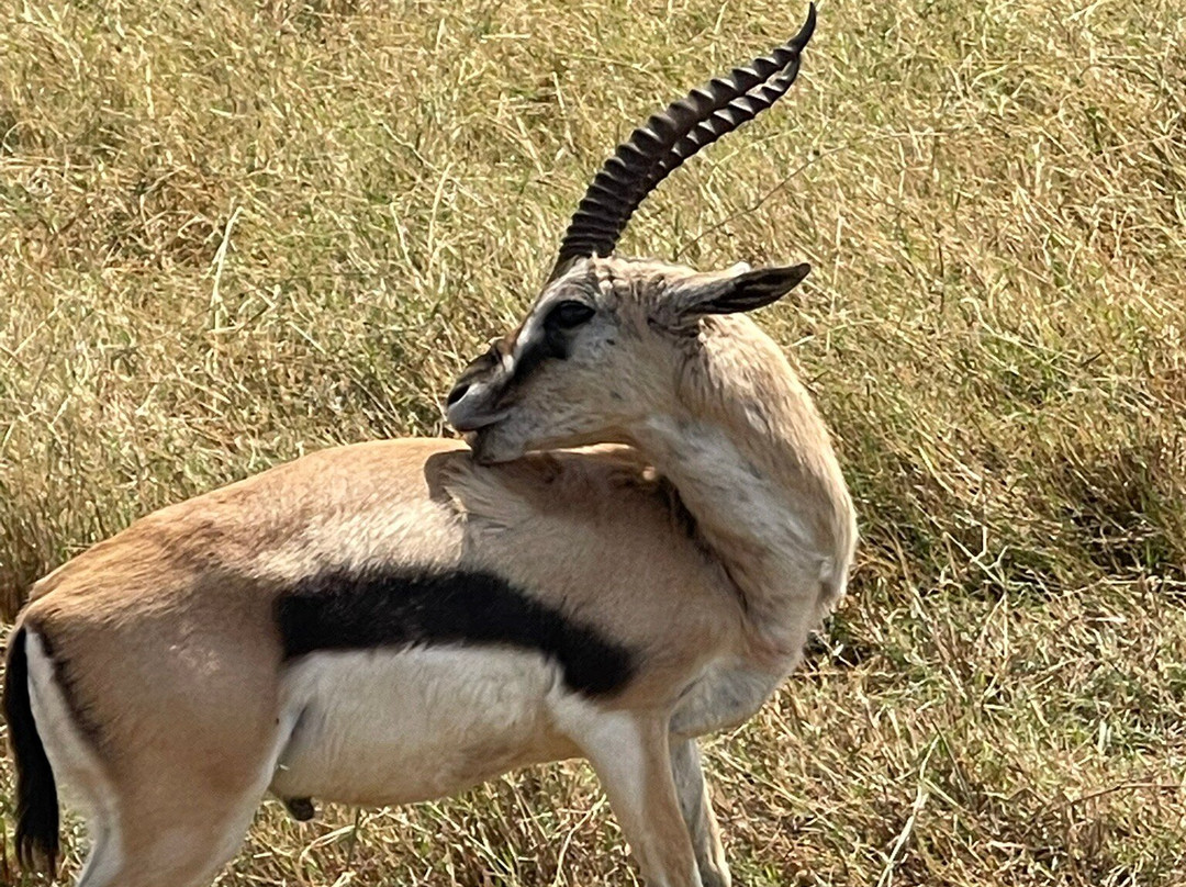 Sound Of Tanzania Explores-阿鲁沙必去景点