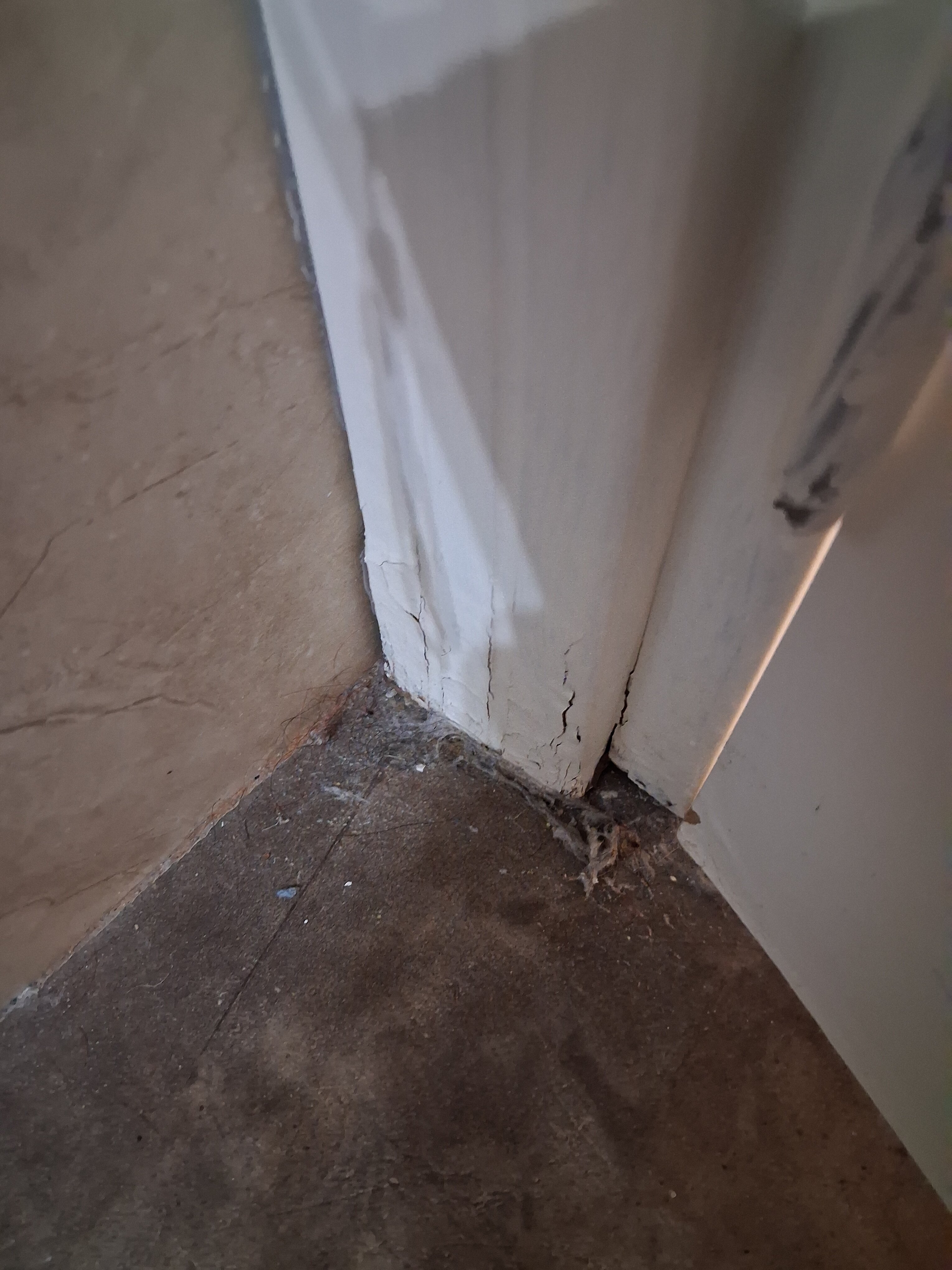 Flora Hotel Suites-浴室