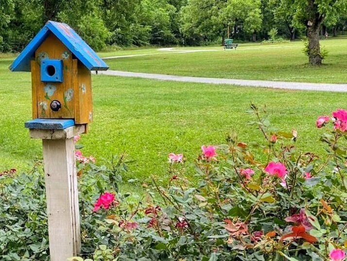 North Peach Park-Byron必去景点