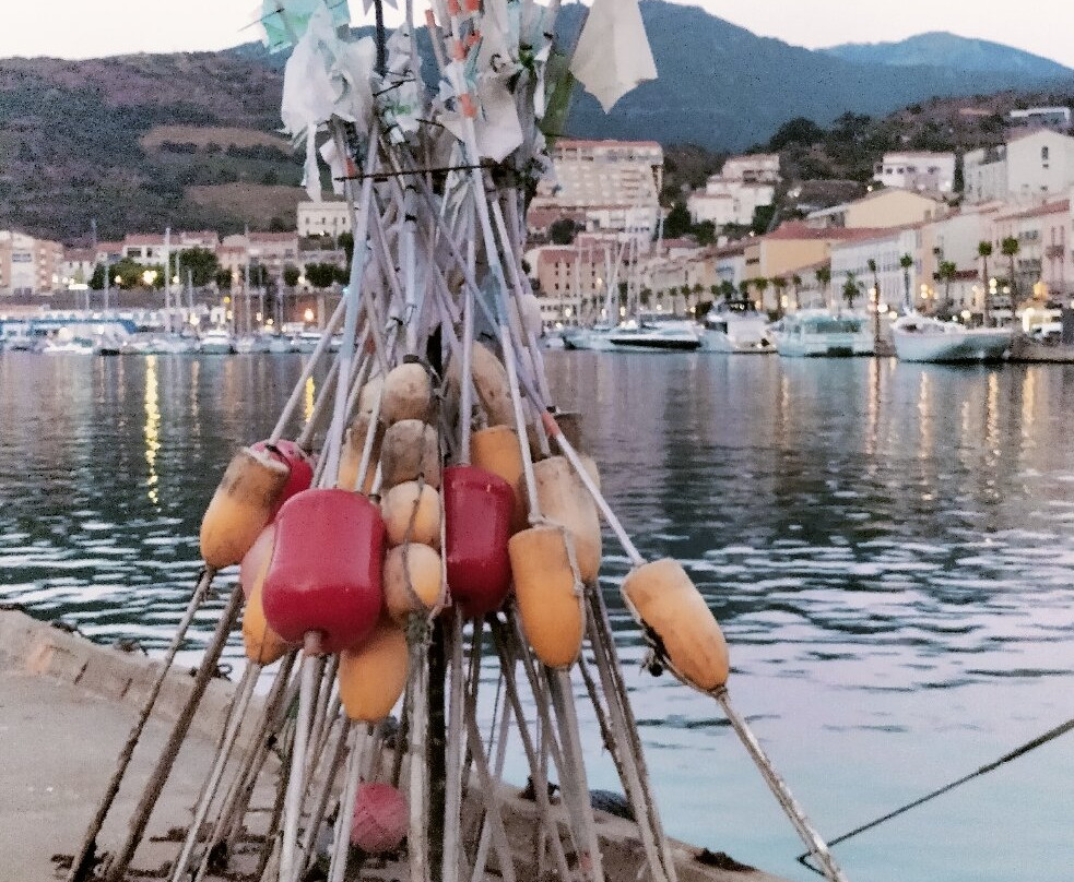 Le Port-Port-Vendres必去景点