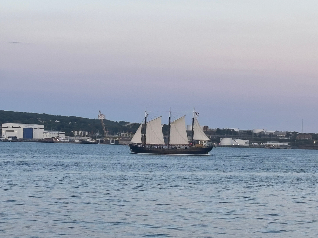Halifax Waterfront Boardwalk-哈利法克斯必去景点