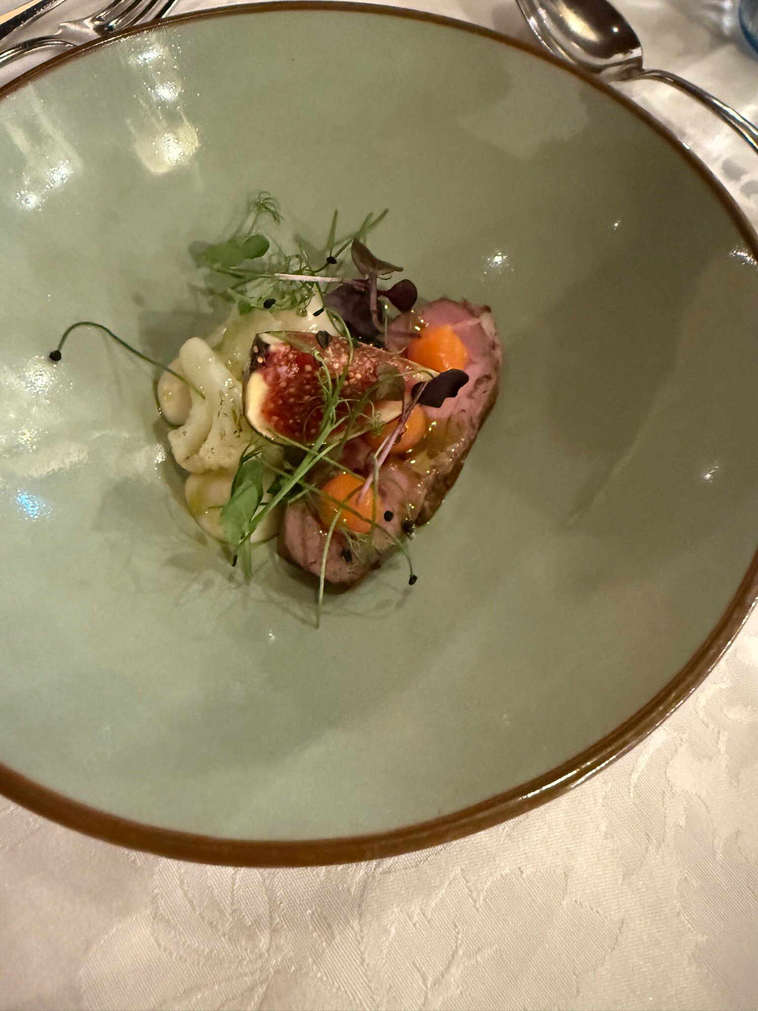 施泰纳酒店-官方
