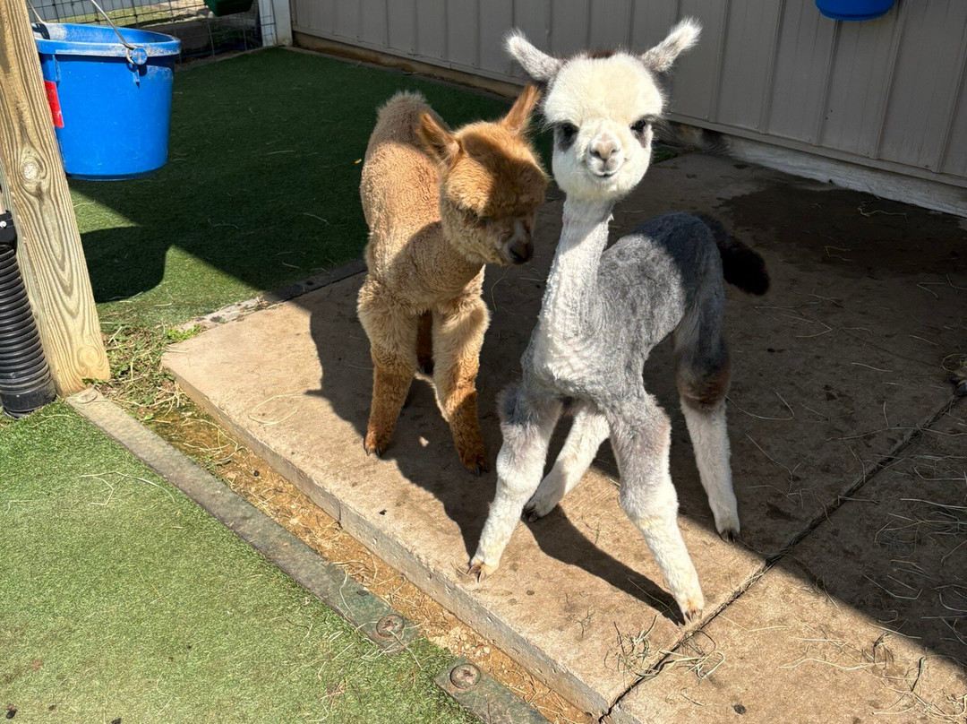 Eagle Eye Farm-River Falls必去景点