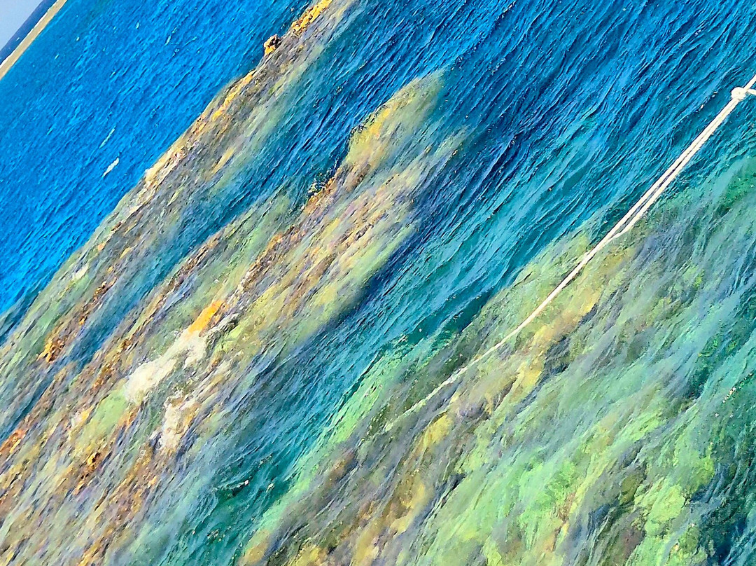 MenaDive-Safaga必去景点