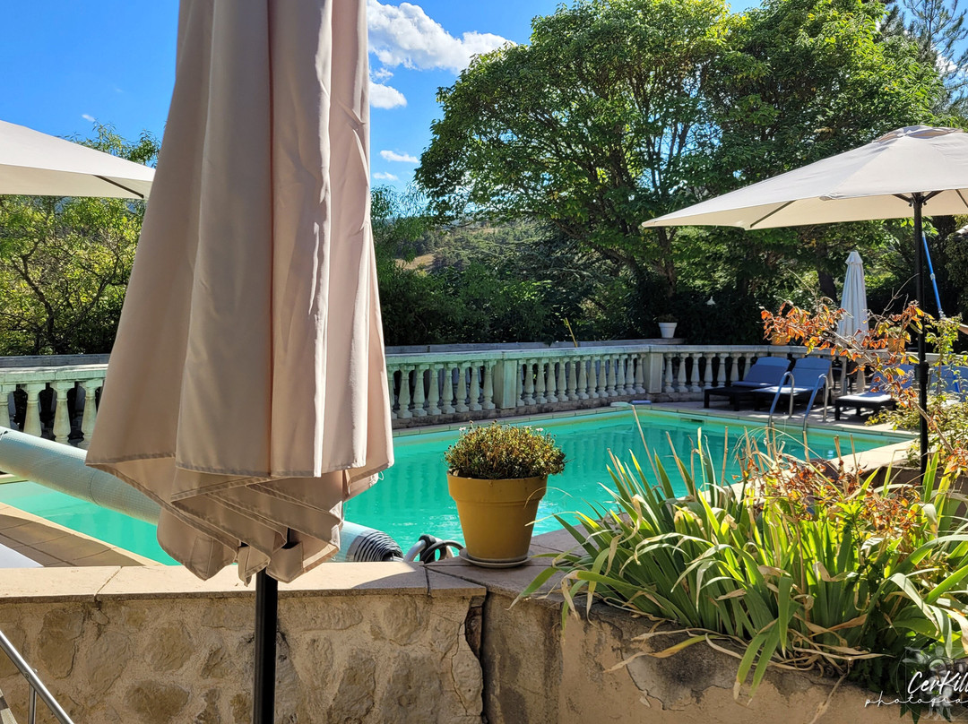 Hotel Le Vieil Amandier主图