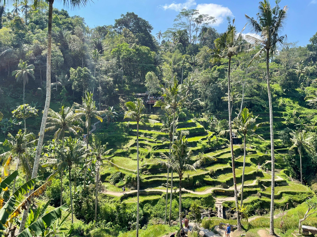 Abhiseka Tour-Yogyakarta必去景点