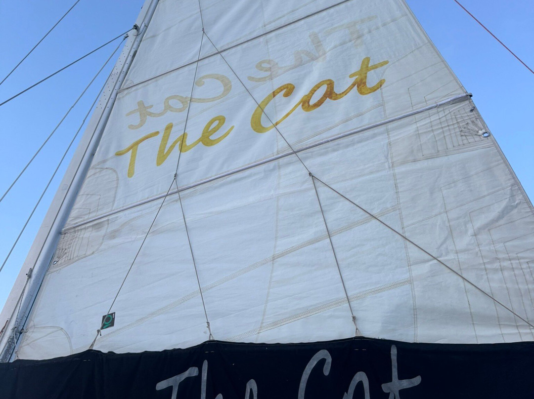 St. Thomas Water Sports llc. (STWS)-圣 托马斯必去景点