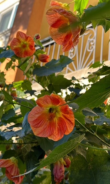 文诺贝尔洛度假酒店-浴室