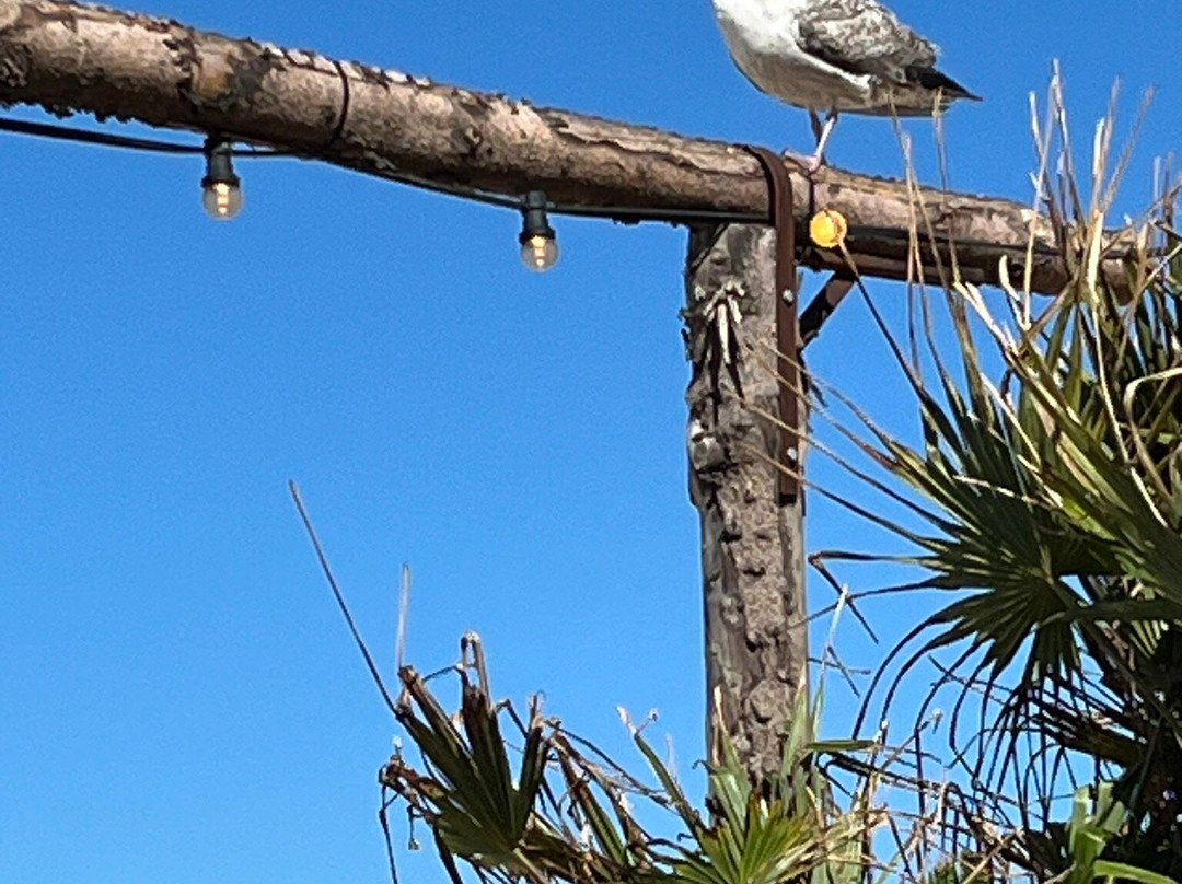 Oostende-奥斯坦德必去景点