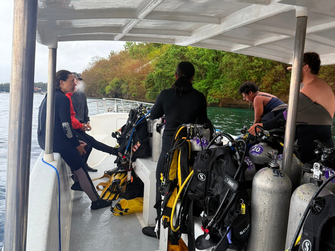 Purple Dive Penida-珀尼达岛必去景点