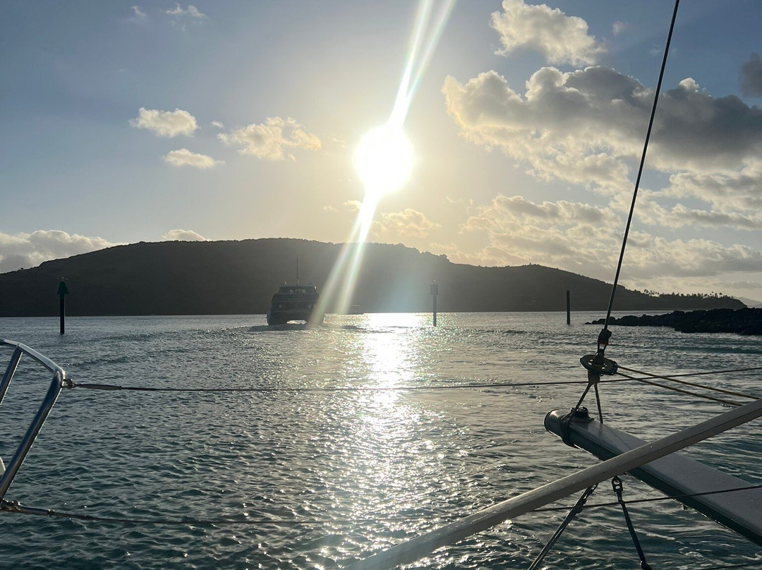 Ricochet Yachting-汉密尔顿岛必去景点