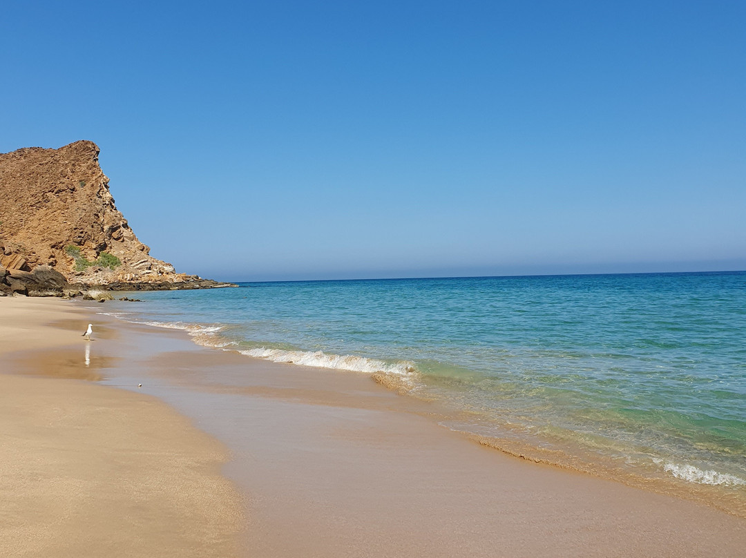 Al Sifah Beach-马斯喀特必去景点