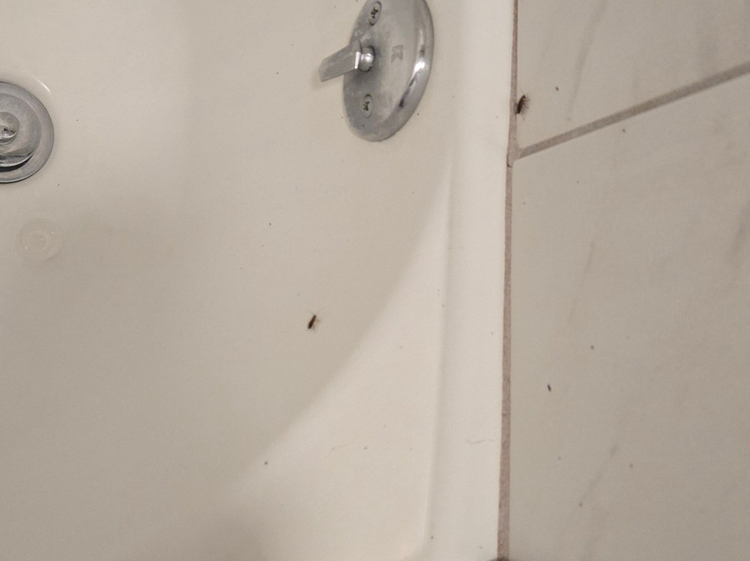 Ramada by Wyndham Harrisonburg主图