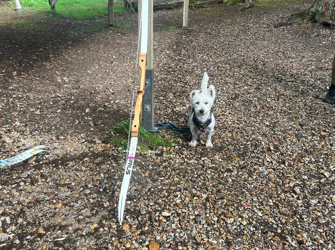 Insight Activities New Forest-Fordingbridge必去景点