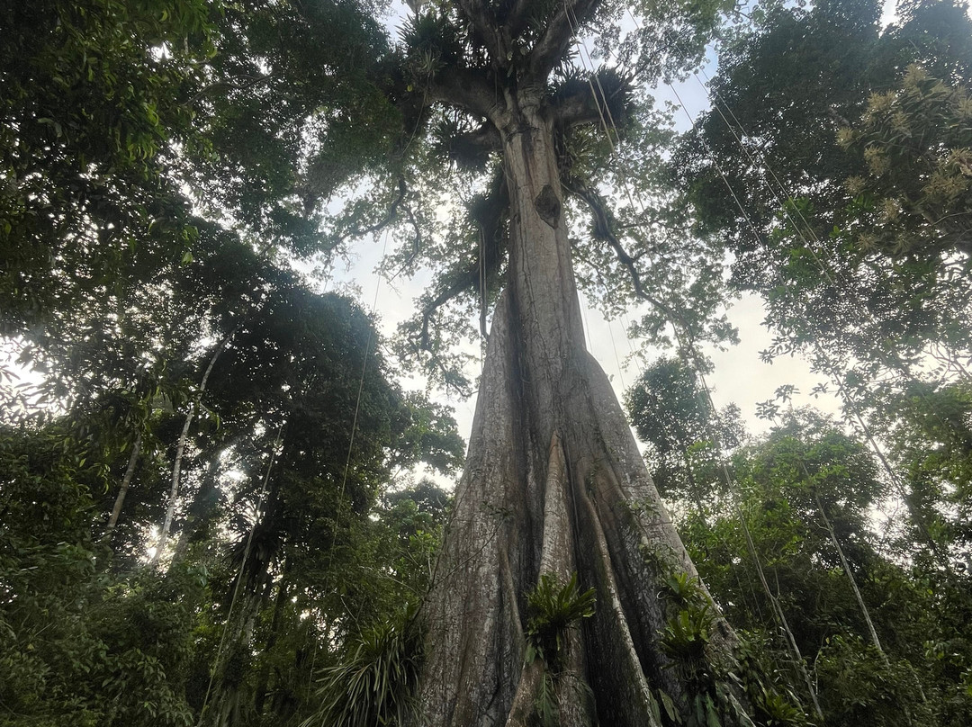 Amazon Experience-伊基托斯必去景点