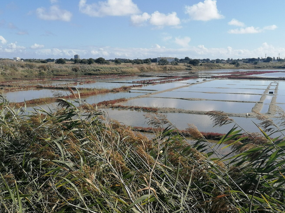 La Maison des Paludiers-Guerande必去景点