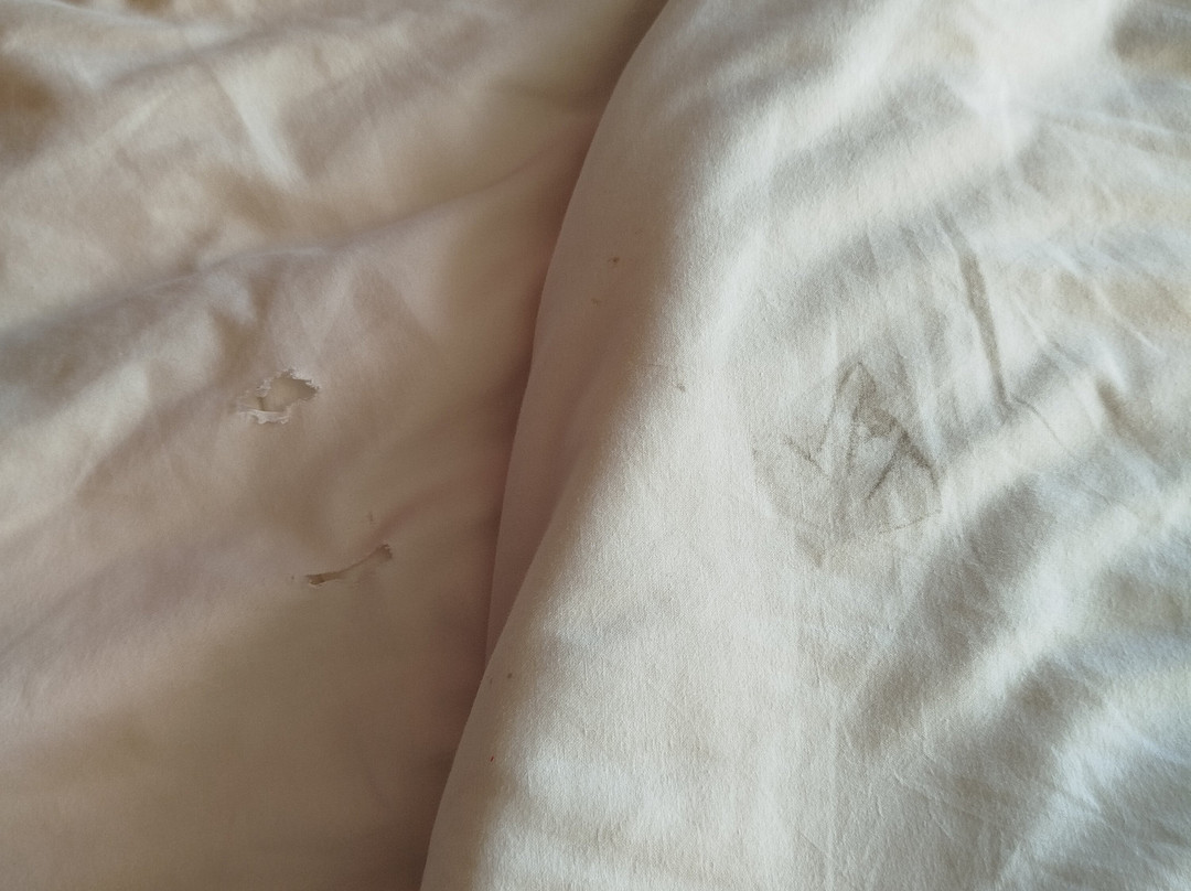 Club Med Yasmina - Morocco主图