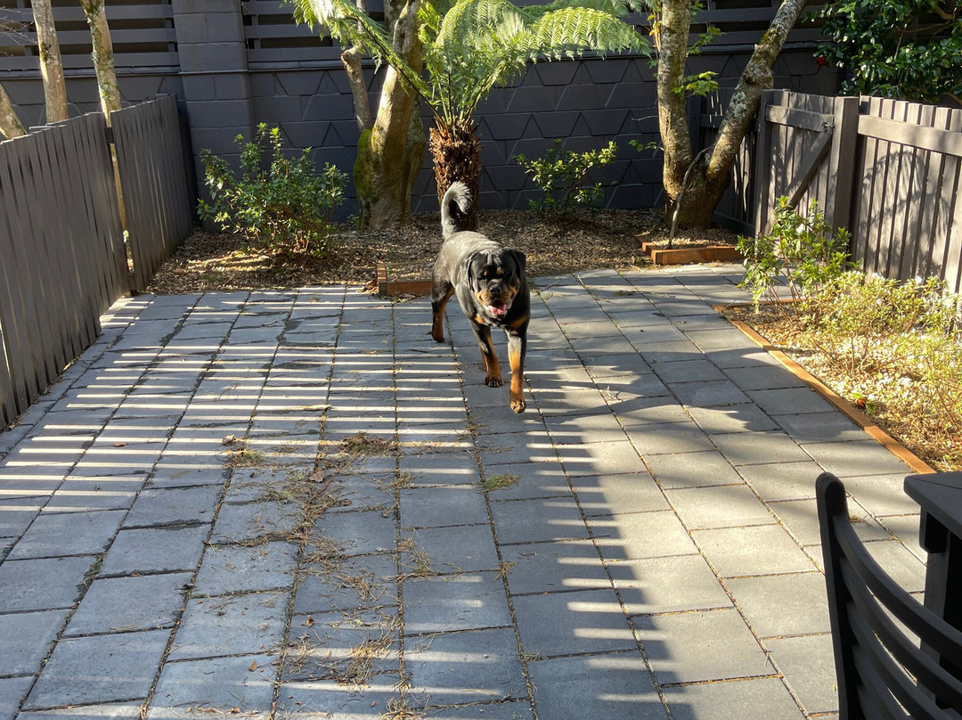 Leura Gardens Resort主图