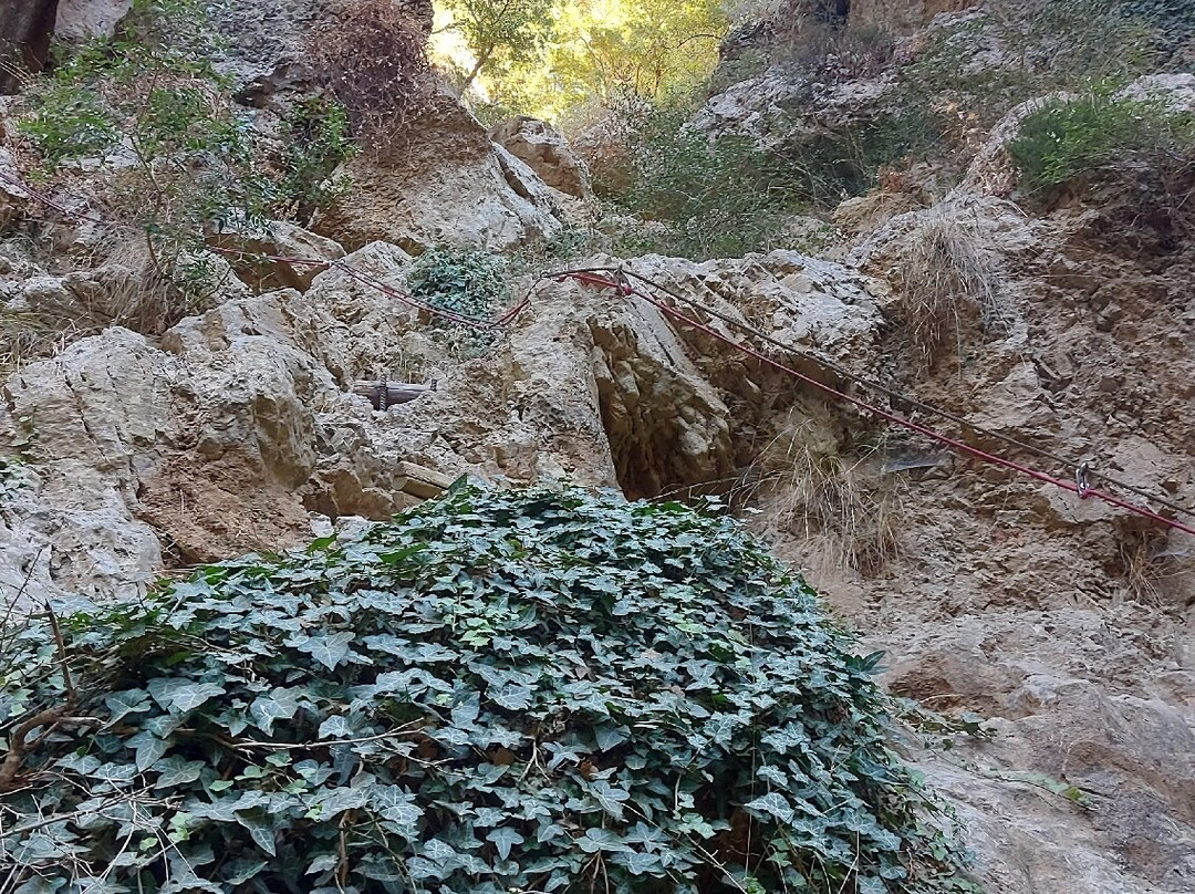 St. Anthony Gorge (Gorge of Patsos)-Patsos必去景点