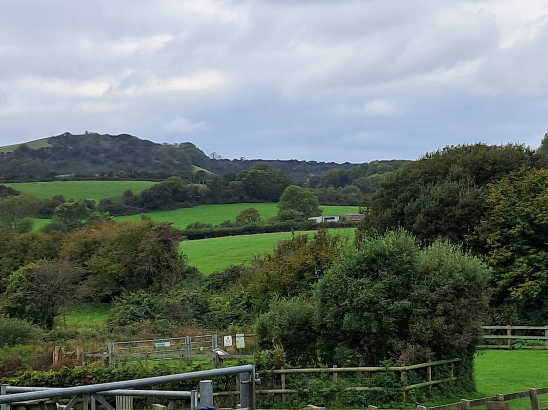怀特岛毛驴之家-文特诺必去景点
