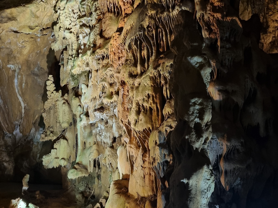 Resavska Cave-Despotovac必去景点