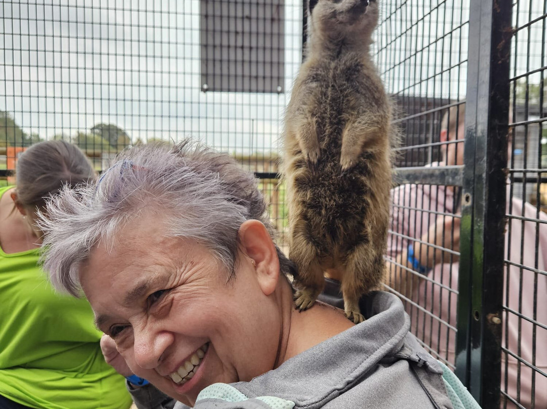 Lucky Tails Alpaca Farm-Atherstone必去景点