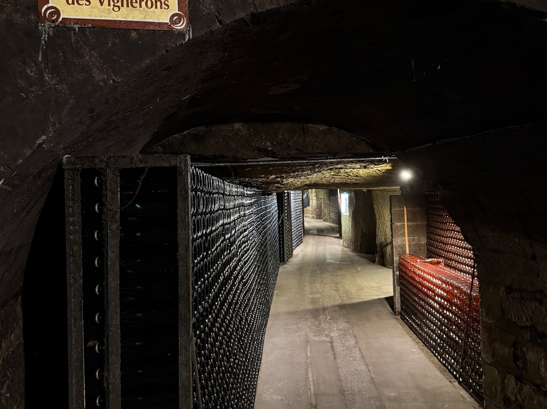 Caves Louis de Grenelle-梭缪尔必去景点