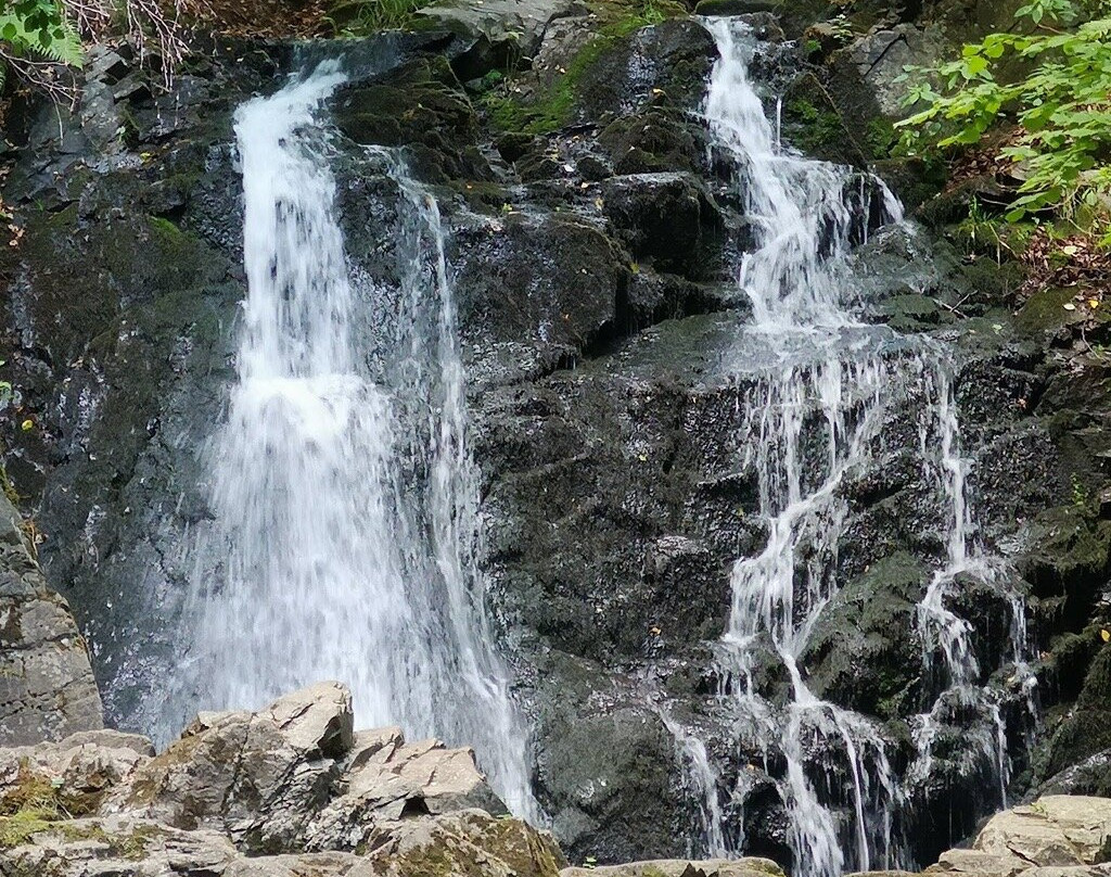 Forsakar Nature Reserve-Degeberga必去景点