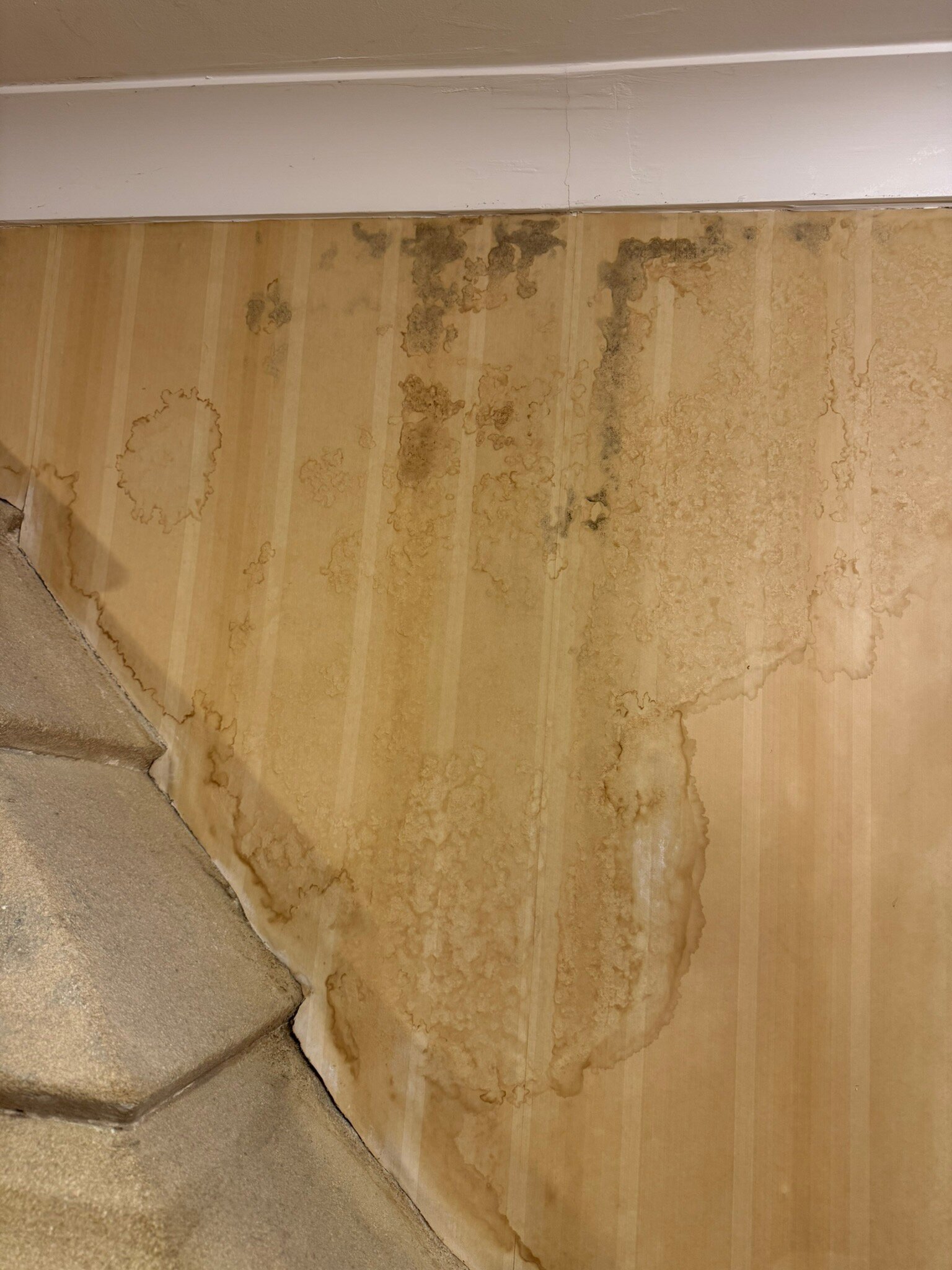 Oakwood Hall Hotel-官方