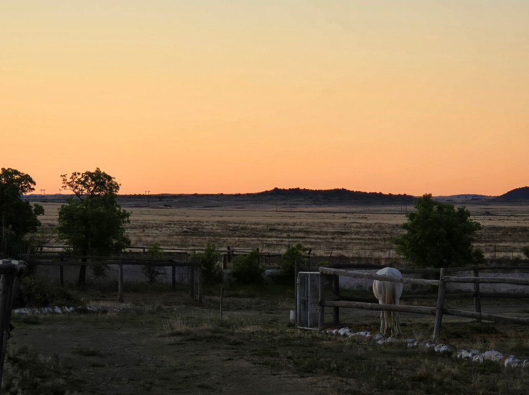 Kuilfontein Stable Cottages主图