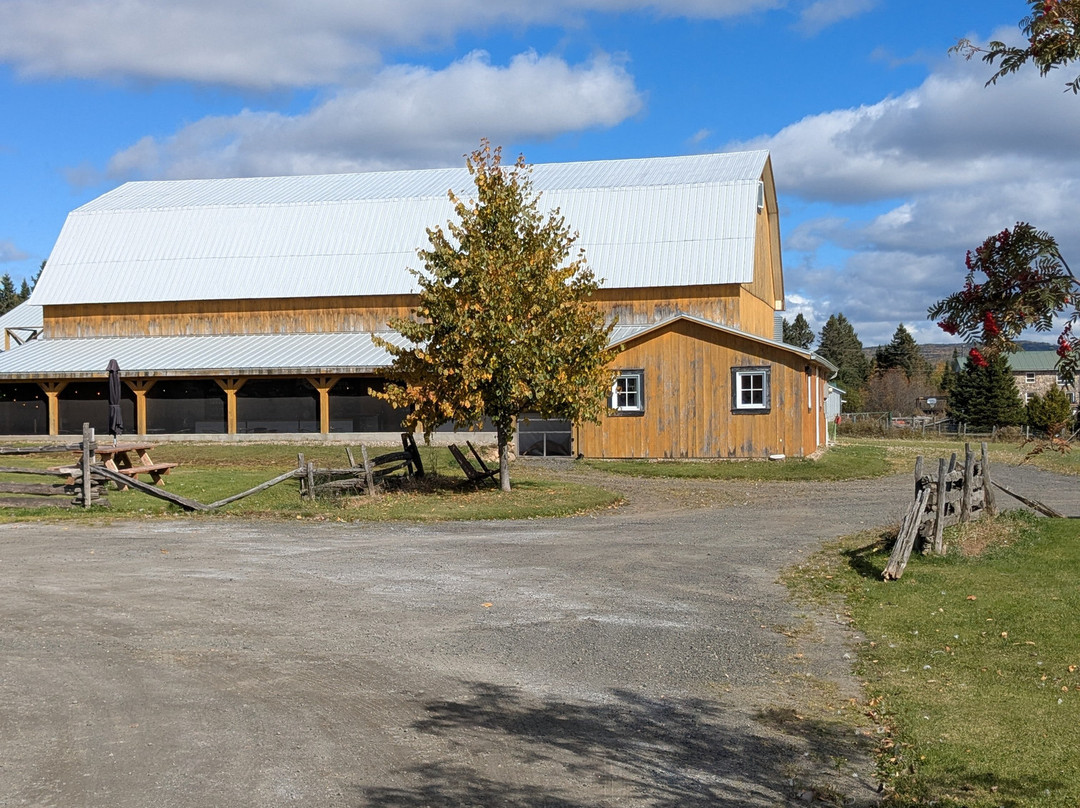 La Ferme Québec-oies
