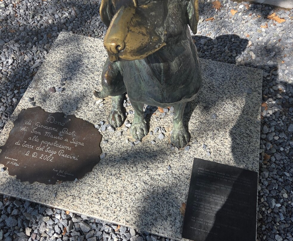 Hotel Butterfly主图