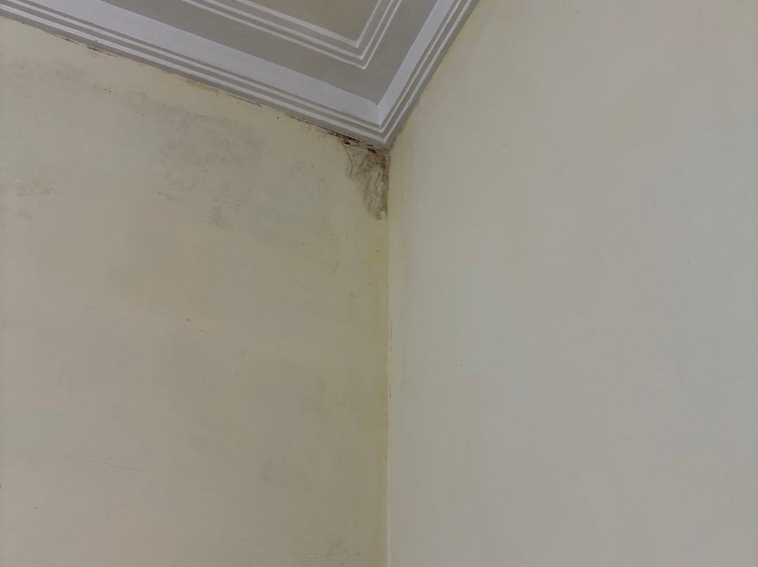 SM Bromo Hotel主图