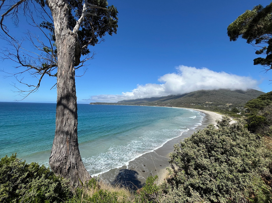 Tessellated Pavement-伊格尔霍克内克必去景点