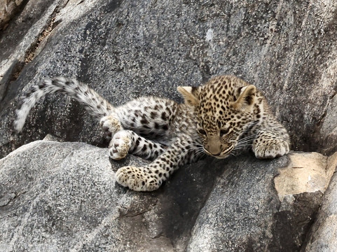 Camptrek Safaris LTD-内罗毕必去景点