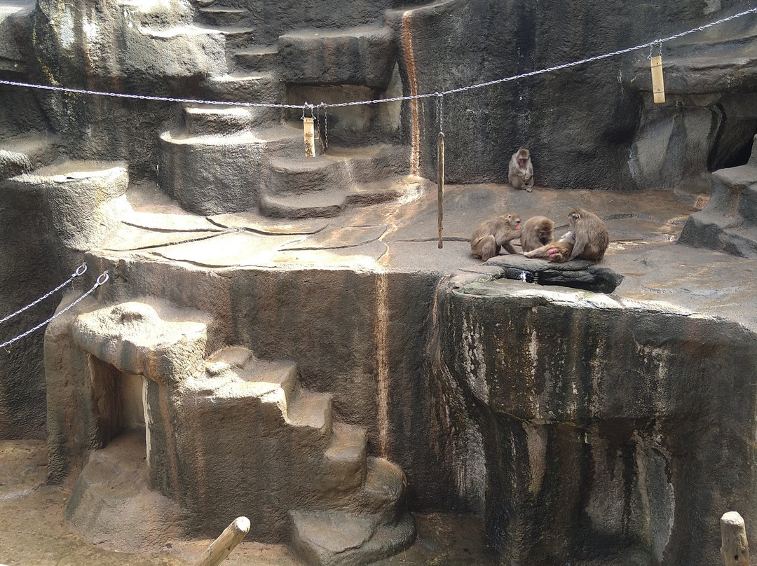 Hamamatsu Zoo logical Garden-滨松市必去景点