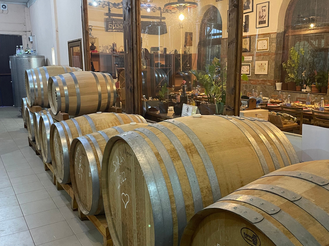 Brzanov Artisan Winery-斯科普里必去景点