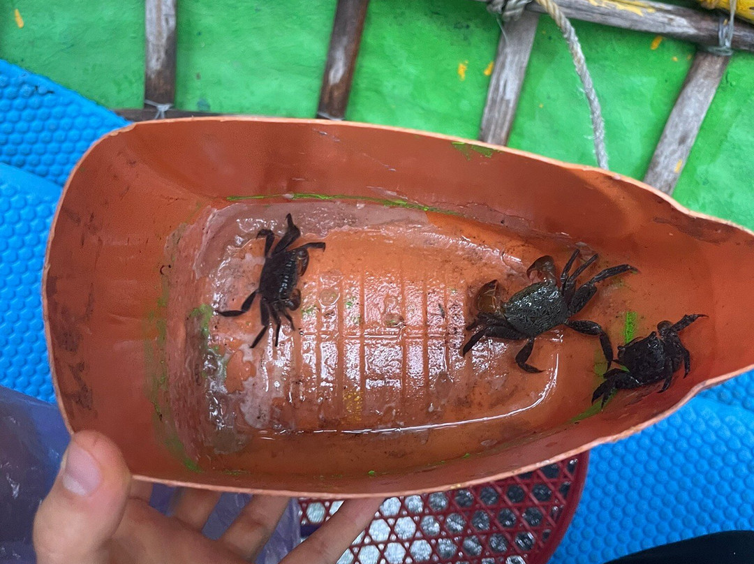 Cocochill Hoi An - Coconut Village & Basket Boat-会安必去景点