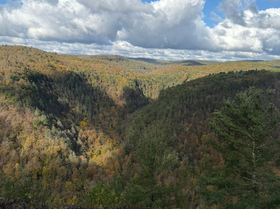 Pennsylvania Grand Canyon-Wellsboro必去景点
