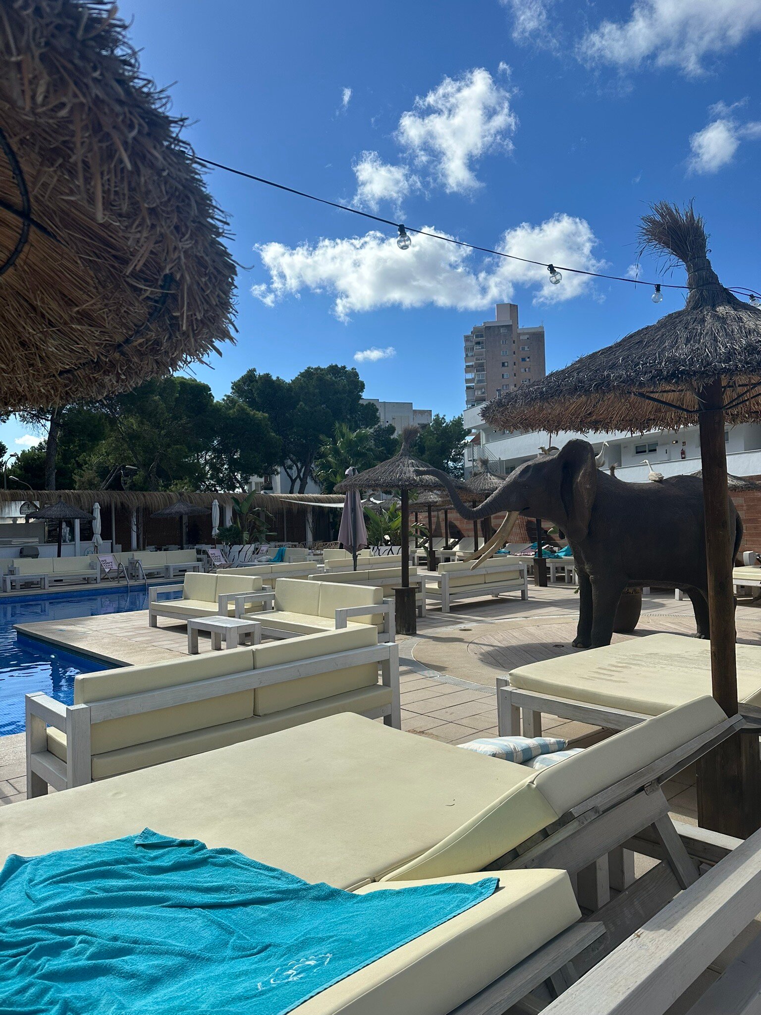 Inn Mallorca Aparthotel-官方
