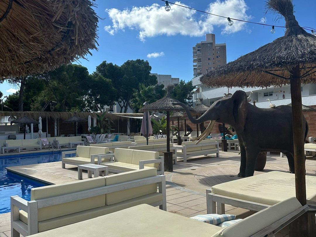 Inn Mallorca Aparthotel主图