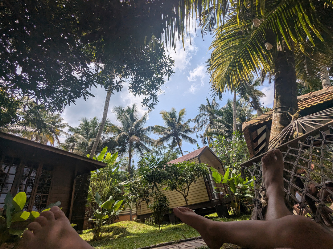 Green Chromide River View Wooden House主图