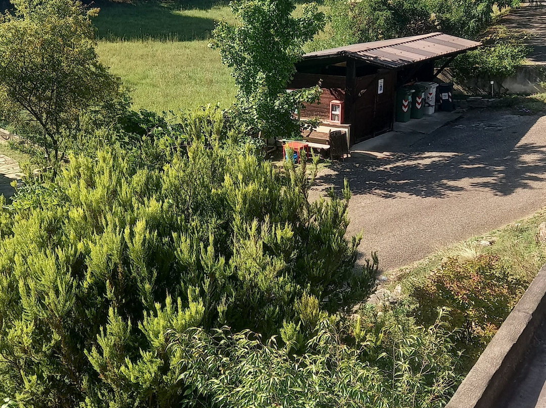 Giardino Botanico Rea-Trana必去景点