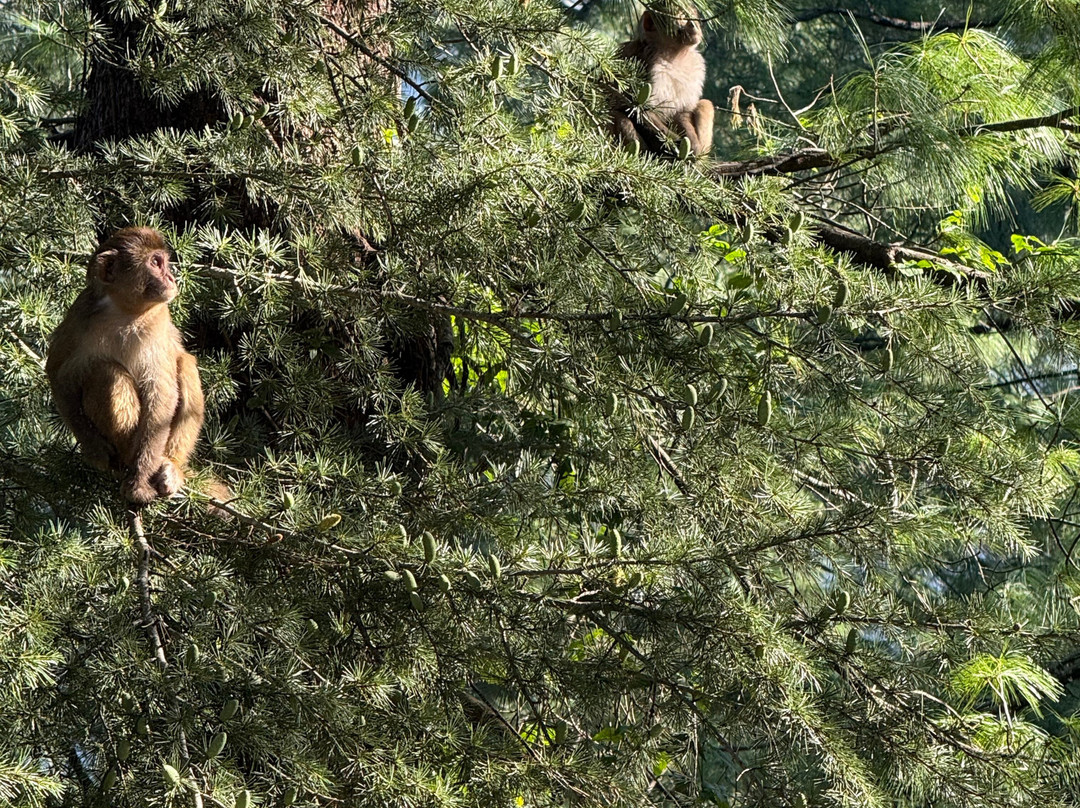 Hillcrest Resort By DLS Hotels主图