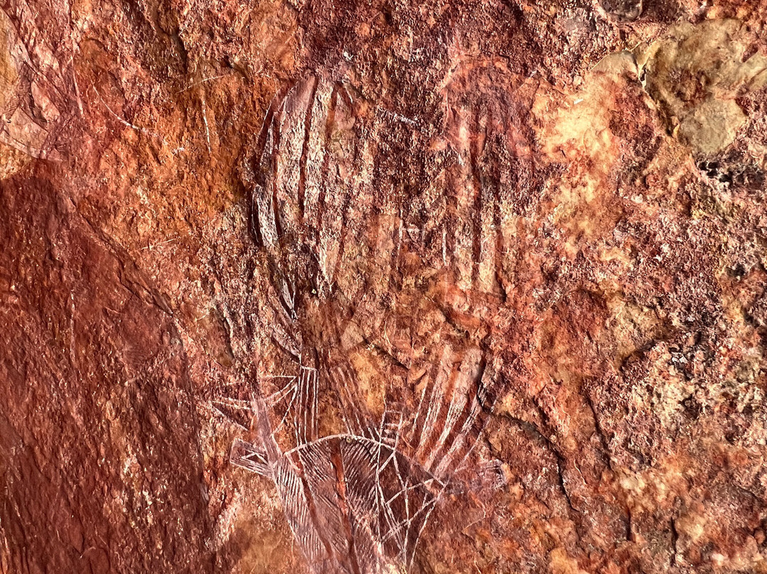 Arnhemlander 4WD Cultural Tour-Jabiru必去景点