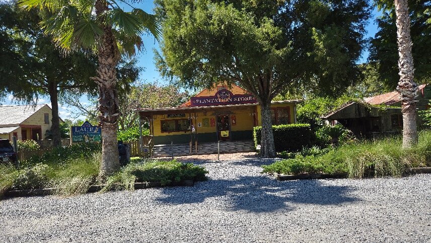 Tours by Isabelle-新奥尔良必去景点