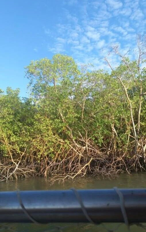 Rota do Peixe-Boi-Marinho-Estancia必去景点