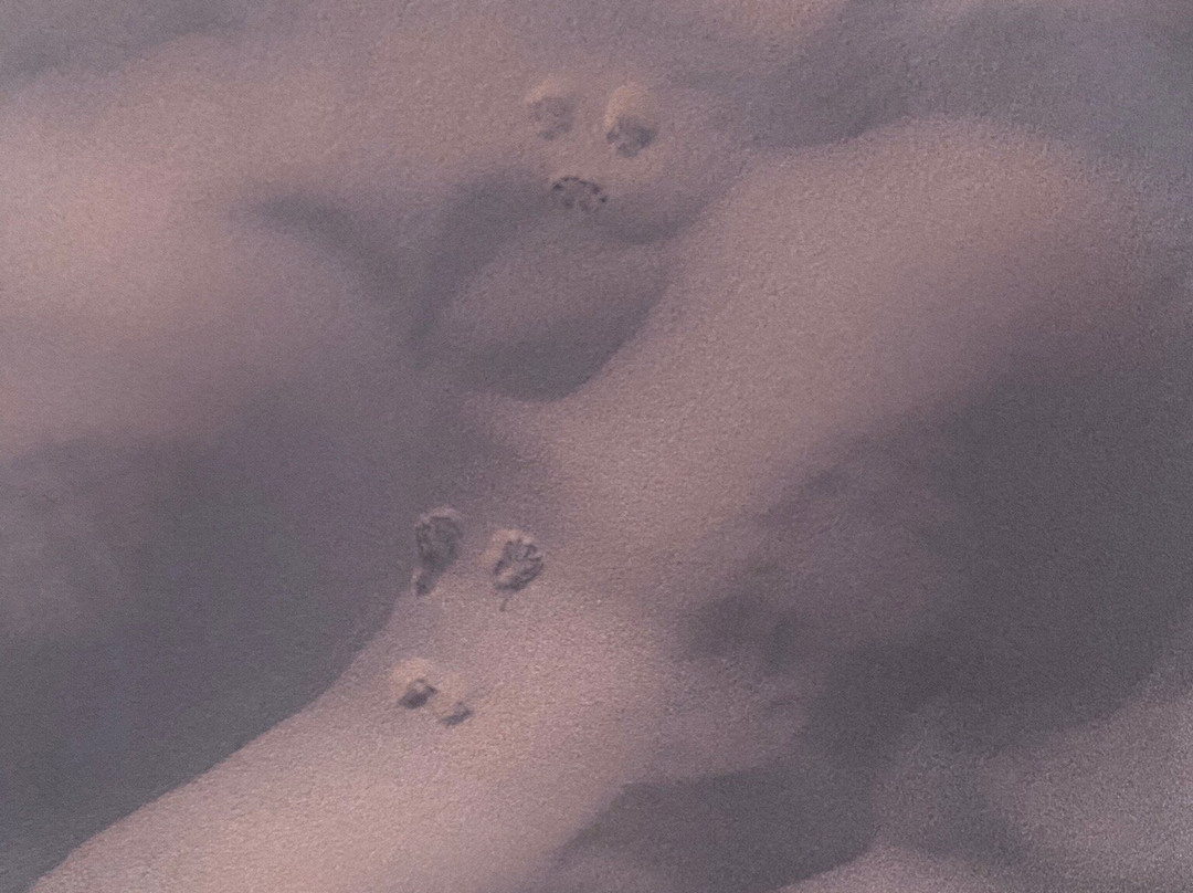 Hotel Bladi Palace主图